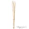 Uniquewise 12 pcs Natural Decorative Dry Branches Authentic Willow Sticks, 59 in, peeled white QI004415.WT.60 - alternate 1